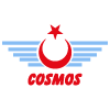 Cosmos Canvey logo