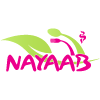 Nayaab Restaurant logo