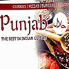 Punjab Balti House logo